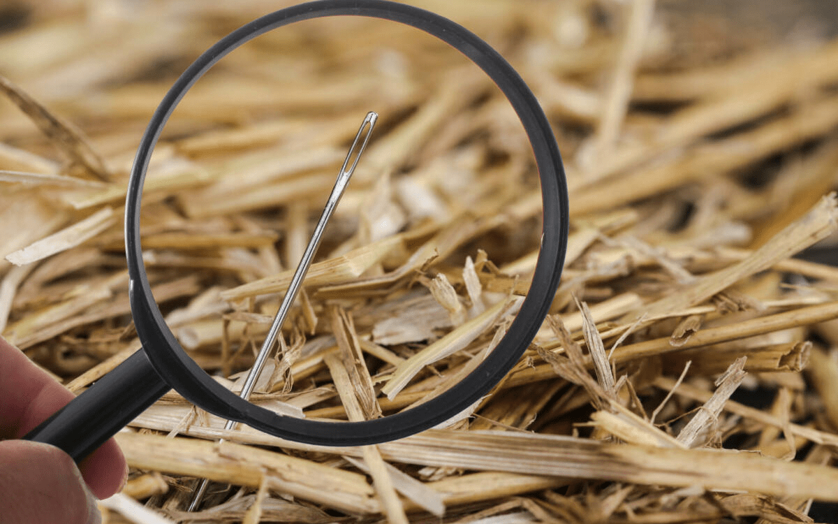 Magnifying glass looking for a needle in a haystack