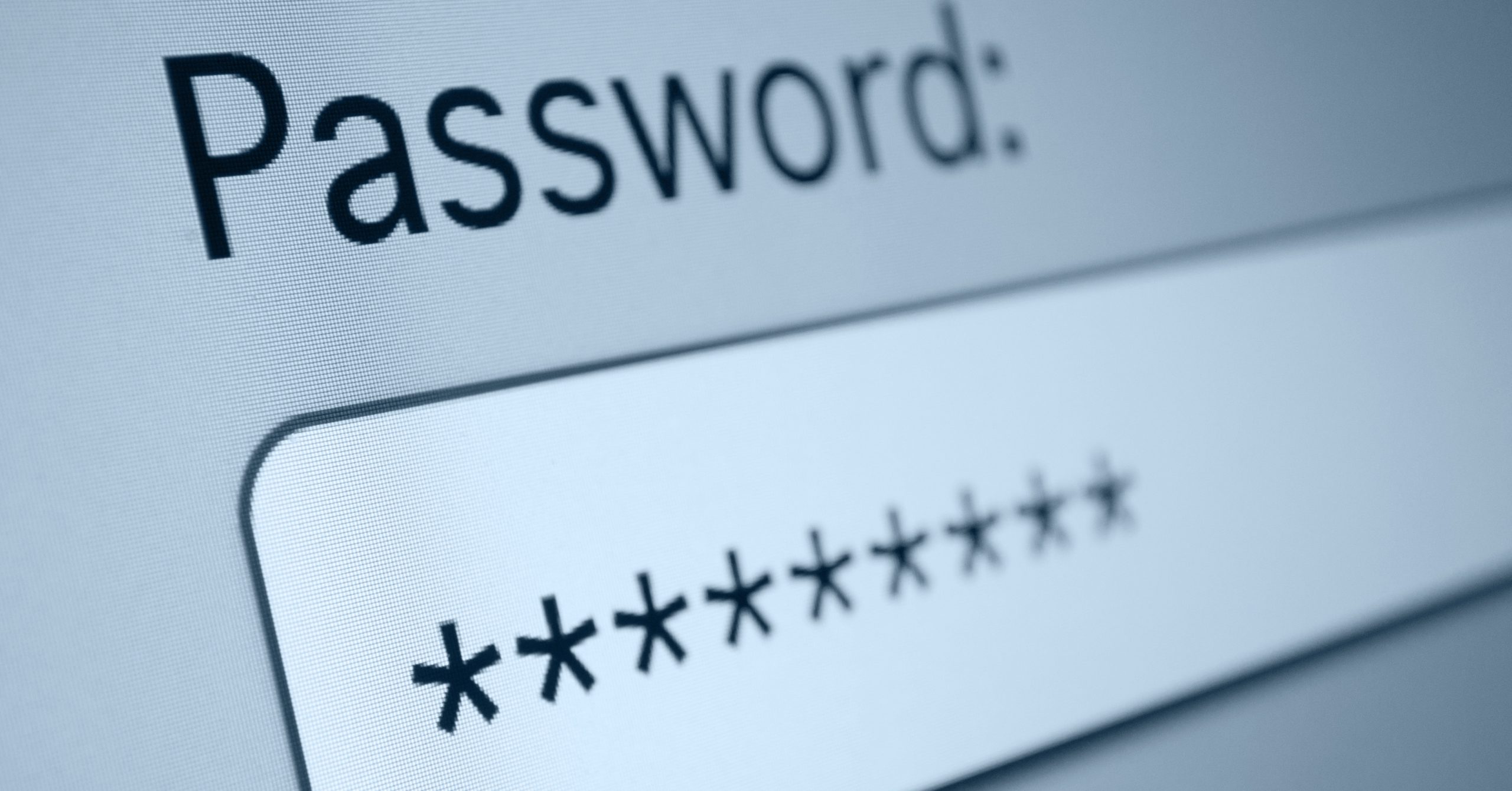 Closeup of credentials with a password box in Internet Browser