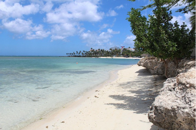 An image of Aruba's sandy beach with clear turquoise water, bordered by rocky outcrops and lush green trees under a partly cloudy sky. Palm trees are visible in the distance.